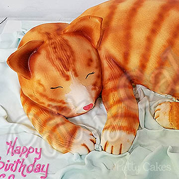 Animal Cake, Cat 01