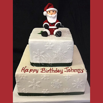 Christmas  Cake 02