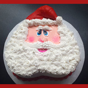 Christmas Cake 07