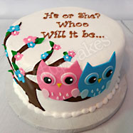 Click To View Gender Reveal Cakes Gallery